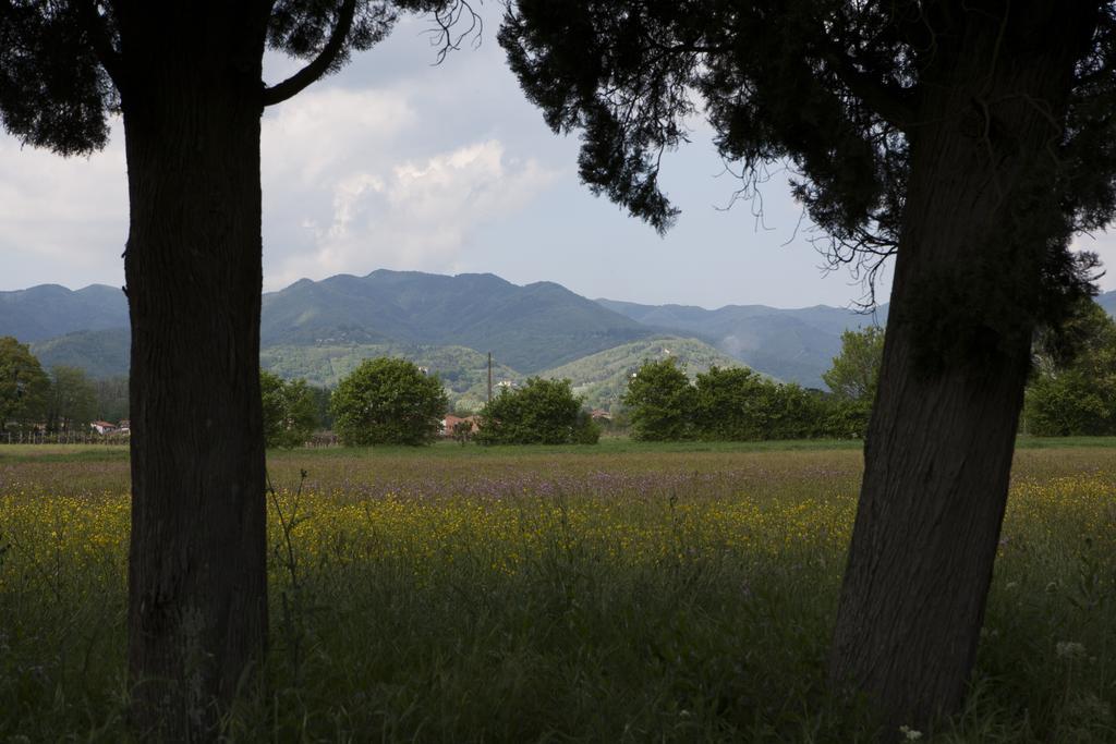 Agriturismo La Topaia Borgo San Lorenzo Dış mekan fotoğraf